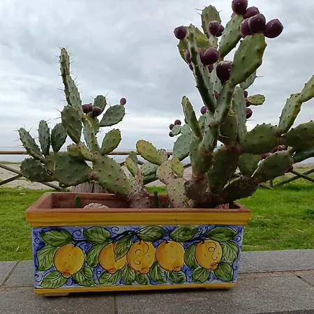A Casuzza Caronia