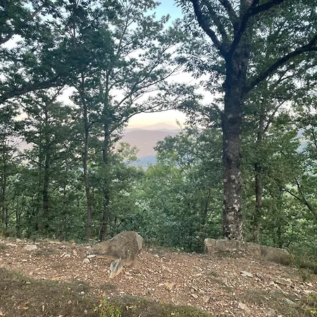 A Casuzza 度假居 *